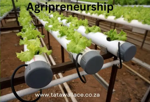 Strengthening Rural Economies