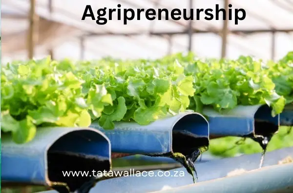 Promoting Sustainable Agriculture