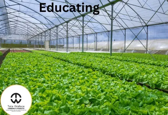 Fostering Community Resilience: